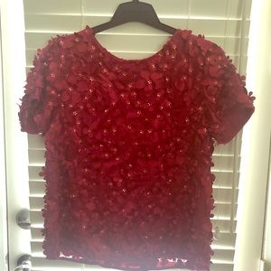 Anthropologie fuscia blouse. Never worn